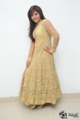 Anjali at Geethanjali Movie Success Meet